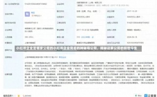 小红书企业是哪家公司的小红书企业背后的神秘母公司，揭秘这家公司的前世今生