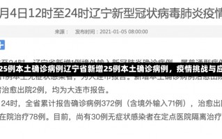 辽宁新增25例本土确诊病例辽宁省新增25例本土确诊病例，疫情挑战与应对策略