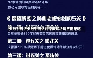 少数引流法少数引流法的深度解析与应用策略