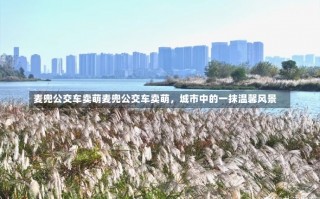 麦兜公交车卖萌麦兜公交车卖萌，城市中的一抹温馨风景