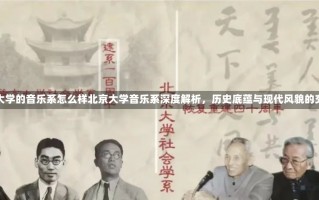 北京大学的音乐系怎么样北京大学音乐系深度解析，历史底蕴与现代风貌的交融