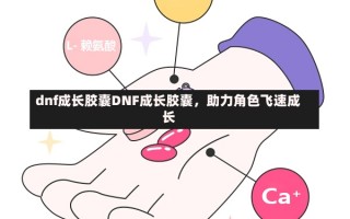 dnf成长胶囊DNF成长胶囊，助力角色飞速成长