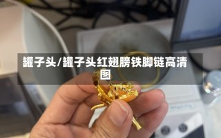 罐子头/罐子头红翅膀铁脚链高清图