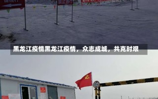 黑龙江疫情黑龙江疫情，众志成城，共克时艰