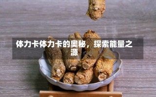 体力卡体力卡的奥秘，探索能量之源