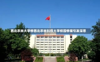 西北农林大学惨西北农林科技大学校园惨案引发深思