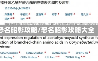 恶名昭彰攻略/恶名昭彰攻略大全