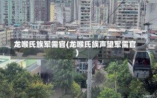 龙喉氏族军需官(龙喉氏族声望军需官)