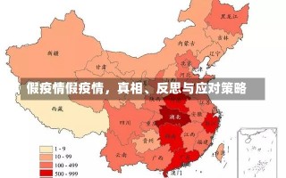 假疫情假疫情，真相、反思与应对策略