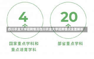 四川农业大学招聘情况四川农业大学招聘情况全面解析