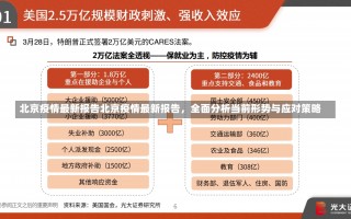 北京疫情最新报告北京疫情最新报告，全面分析当前形势与应对策略