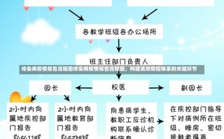 传染病疫情报告流程图传染病疫情报告流程图，构建高效防控体系的关键环节