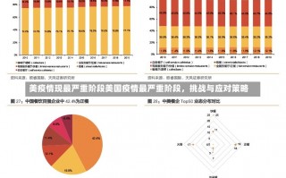 美疫情现最严重阶段美国疫情最严重阶段，挑战与应对策略