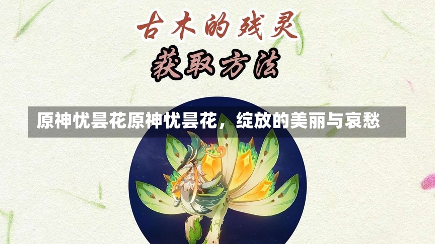 原神忧昙花原神忧昙花，绽放的美丽与哀愁-第1张图片-通任唐游戏