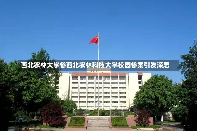 西北农林大学惨西北农林科技大学校园惨案引发深思-第1张图片-通任唐游戏