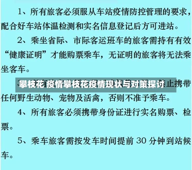 攀枝花 疫情攀枝花疫情现状与对策探讨-第3张图片-通任唐游戏