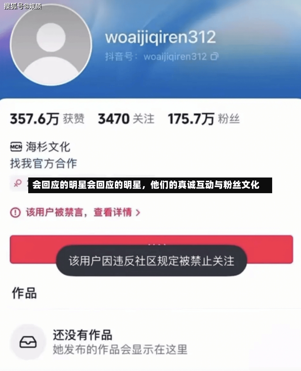 会回应的明星会回应的明星，他们的真诚互动与粉丝文化-第2张图片-通任唐游戏