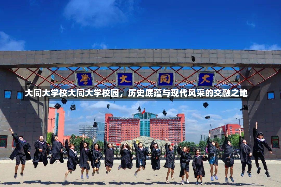 大同大学校大同大学校园，历史底蕴与现代风采的交融之地-第1张图片-通任唐游戏