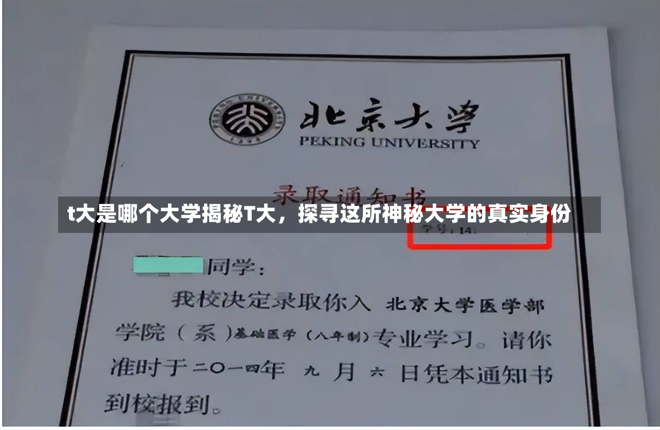 t大是哪个大学揭秘T大，探寻这所神秘大学的真实身份-第1张图片-通任唐游戏