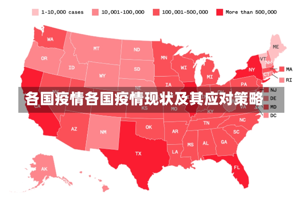 各国疫情各国疫情现状及其应对策略-第2张图片-通任唐游戏