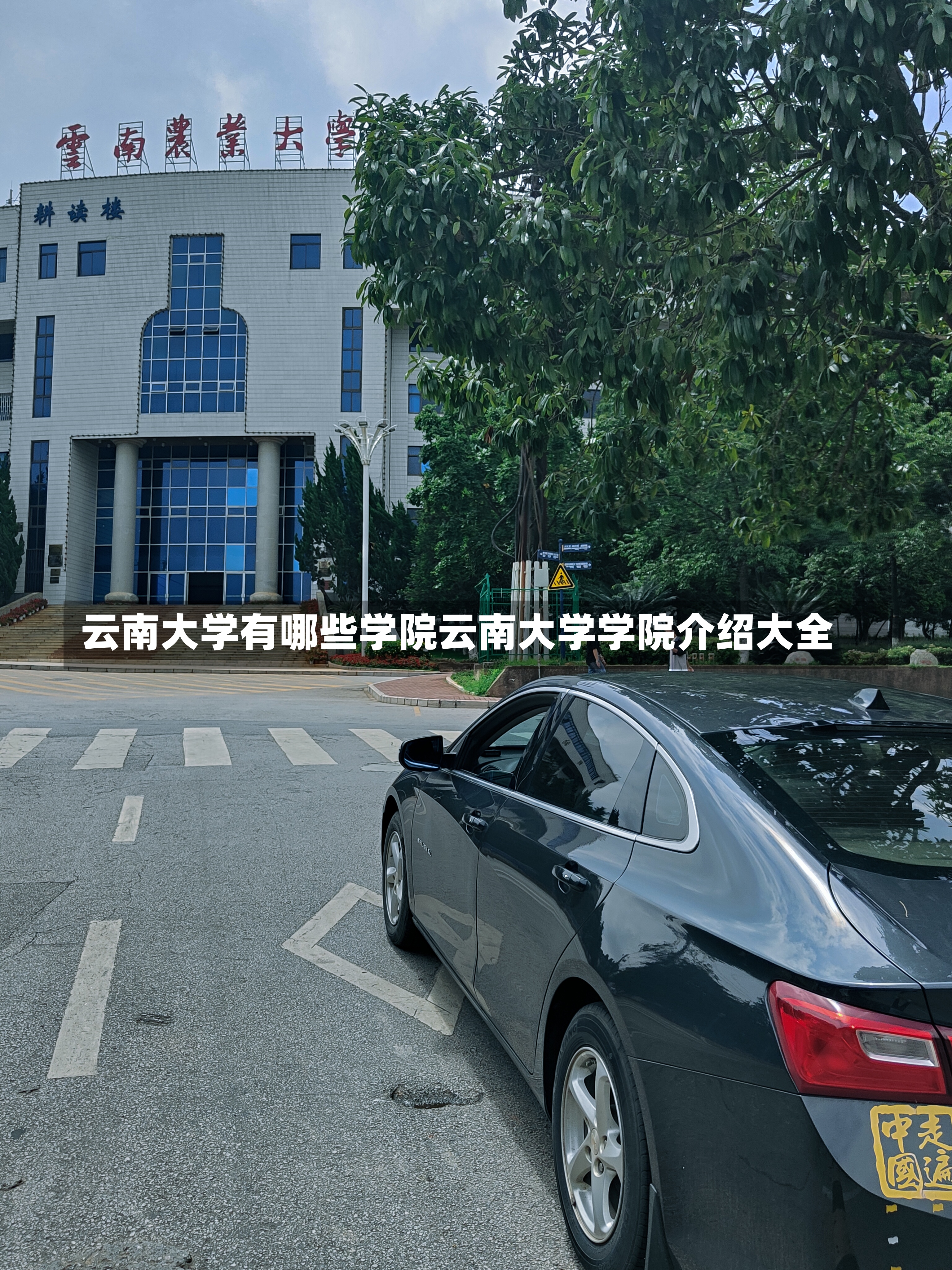 云南大学有哪些学院云南大学学院介绍大全-第1张图片-通任唐游戏