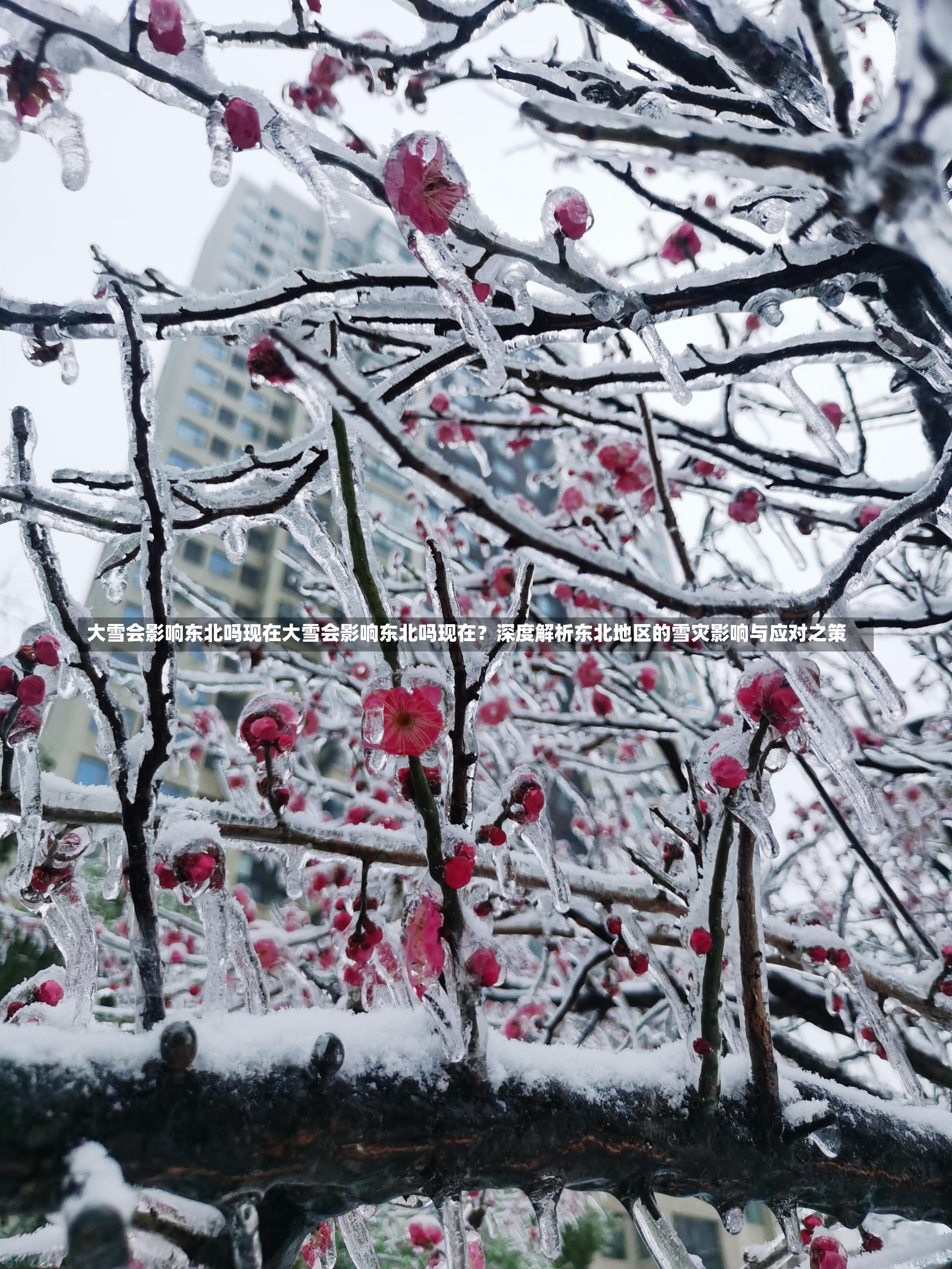 大雪会影响东北吗现在大雪会影响东北吗现在？深度解析东北地区的雪灾影响与应对之策-第1张图片-通任唐游戏