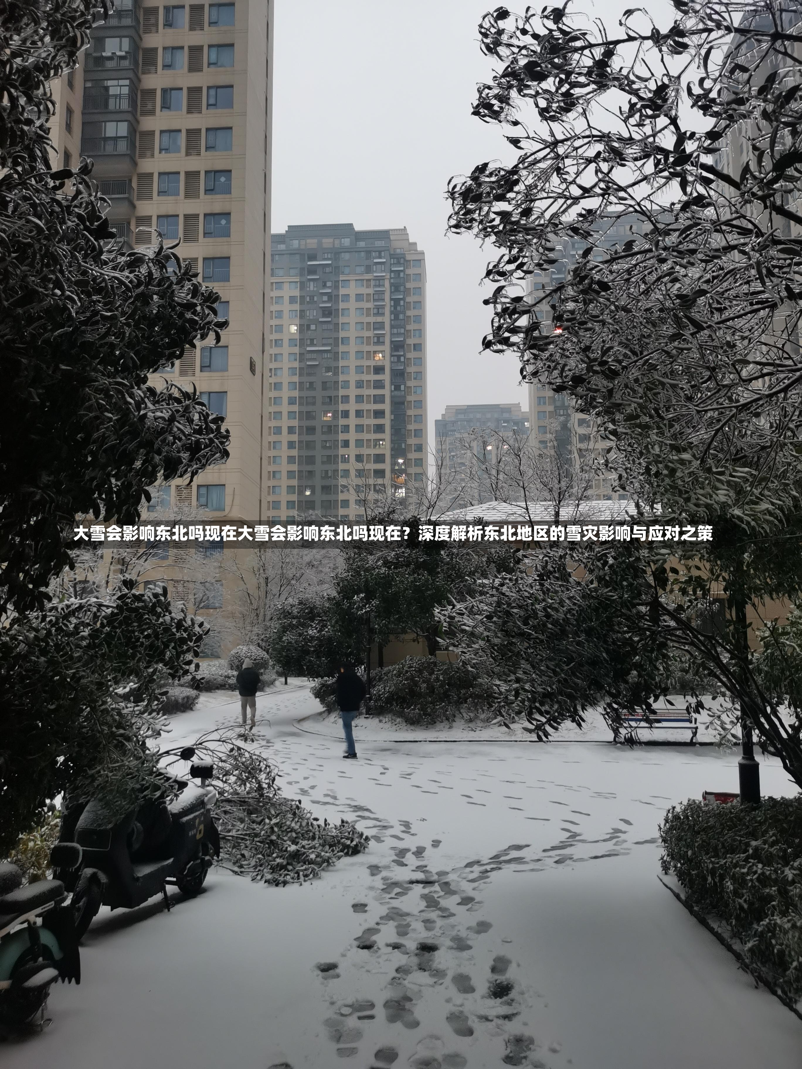 大雪会影响东北吗现在大雪会影响东北吗现在？深度解析东北地区的雪灾影响与应对之策-第2张图片-通任唐游戏