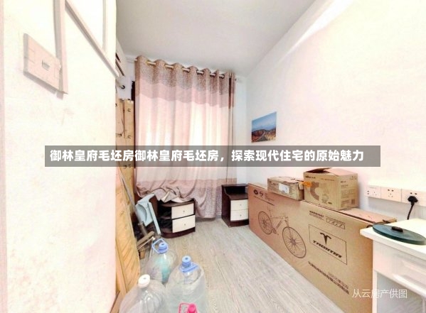 御林皇府毛坯房御林皇府毛坯房，探索现代住宅的原始魅力-第2张图片-通任唐游戏