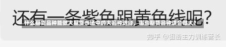 什么期货品种能做大期货市场中的大品种选择，哪些期货品种适合做大？-第3张图片-通任唐游戏