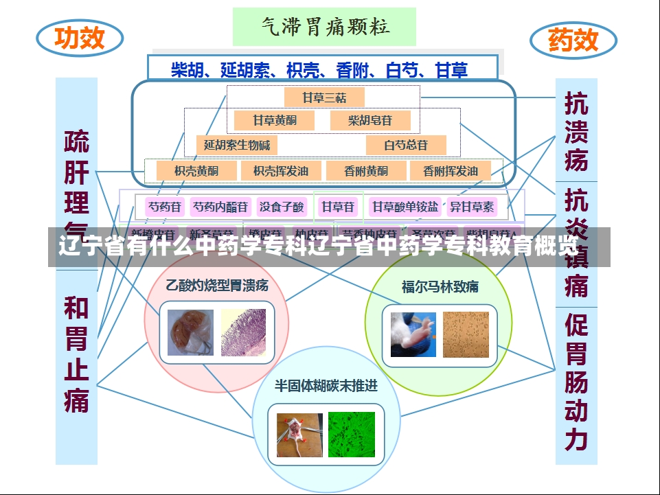 辽宁省有什么中药学专科辽宁省中药学专科教育概览-第2张图片-通任唐游戏