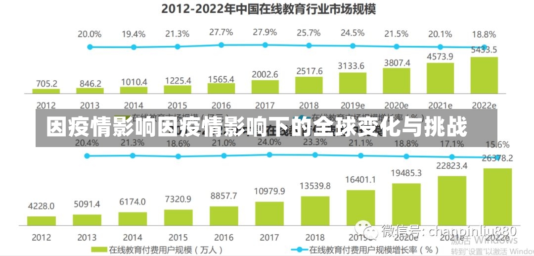 因疫情影响因疫情影响下的全球变化与挑战-第1张图片-通任唐游戏