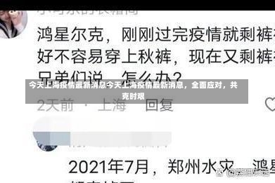 今天上海疫情最新消息今天上海疫情最新消息，全面应对，共克时艰-第1张图片-通任唐游戏