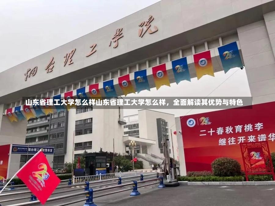 山东省理工大学怎么样山东省理工大学怎么样，全面解读其优势与特色-第2张图片-通任唐游戏