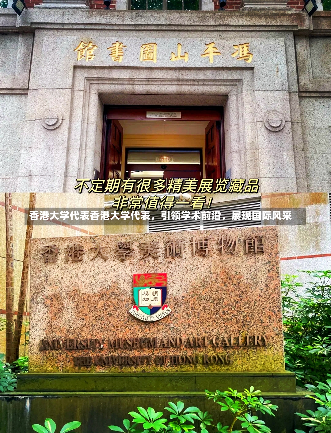 香港大学代表香港大学代表，引领学术前沿，展现国际风采-第1张图片-通任唐游戏