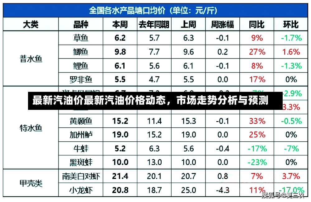 最新汽油价最新汽油价格动态，市场走势分析与预测-第1张图片-通任唐游戏