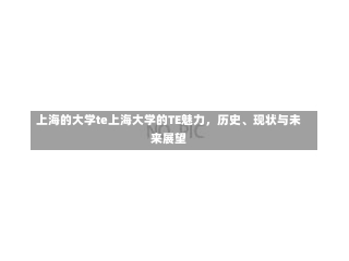 上海的大学te上海大学的TE魅力，历史、现状与未来展望-第1张图片-通任唐游戏