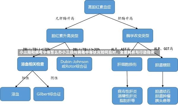 小三阳和病毒中等怎么办小三阳与病毒中等状况如何应对，全面解析与行动指南-第1张图片-通任唐游戏