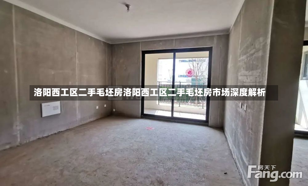 洛阳西工区二手毛坯房洛阳西工区二手毛坯房市场深度解析-第1张图片-通任唐游戏