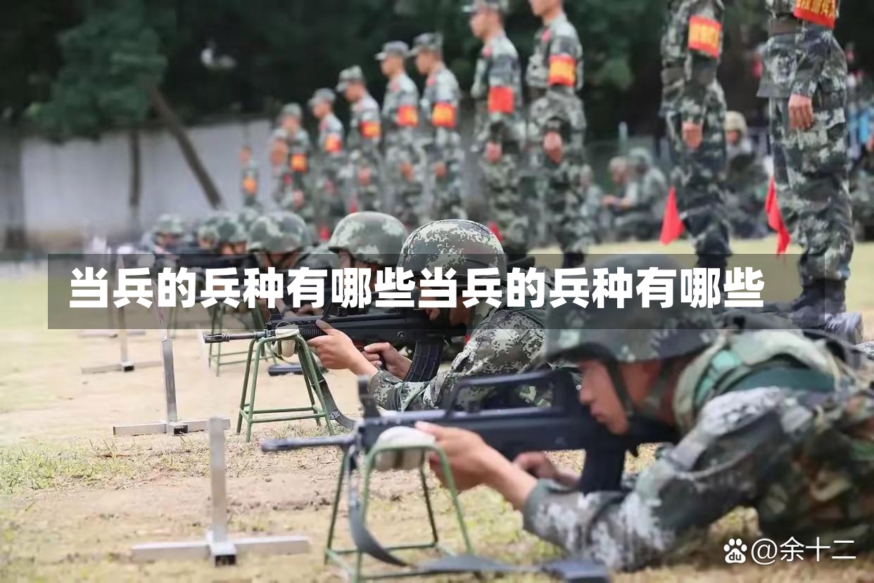 当兵的兵种有哪些当兵的兵种有哪些-第1张图片-通任唐游戏