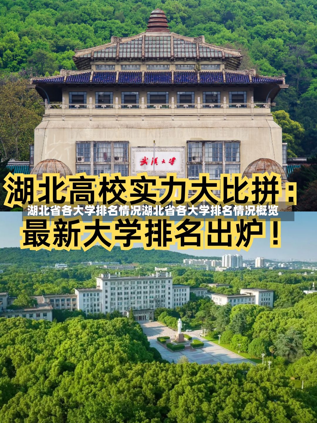 湖北省各大学排名情况湖北省各大学排名情况概览-第1张图片-通任唐游戏