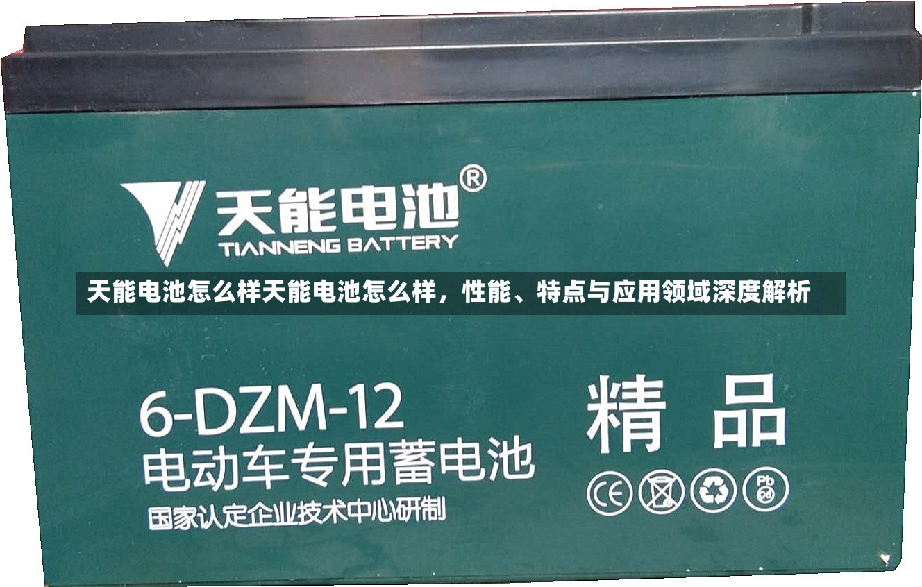 天能电池怎么样天能电池怎么样，性能、特点与应用领域深度解析-第2张图片-通任唐游戏