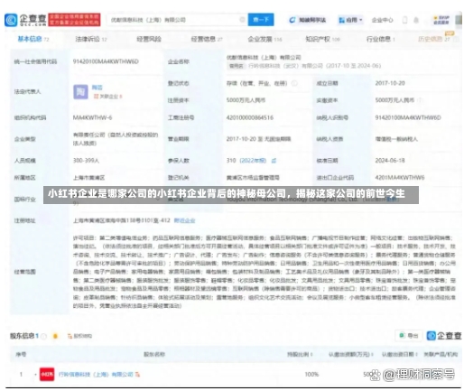 小红书企业是哪家公司的小红书企业背后的神秘母公司，揭秘这家公司的前世今生-第1张图片-通任唐游戏