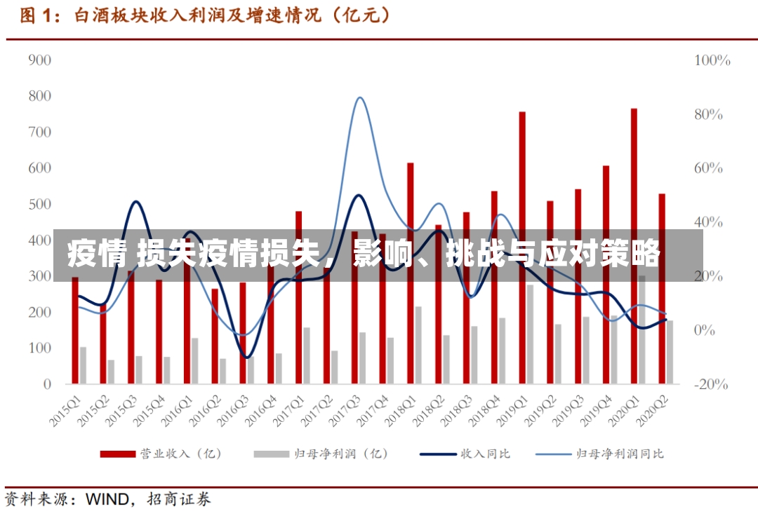 疫情 损失疫情损失，影响、挑战与应对策略-第1张图片-通任唐游戏