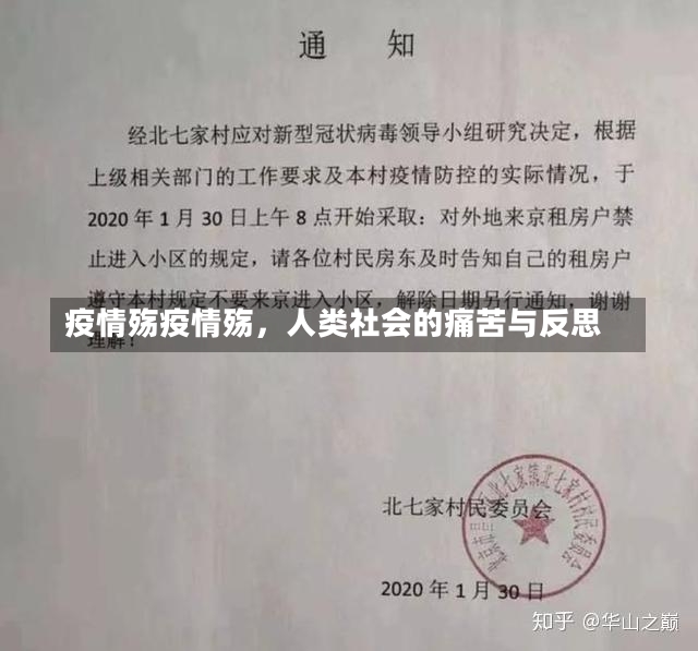 疫情殇疫情殇，人类社会的痛苦与反思-第1张图片-通任唐游戏