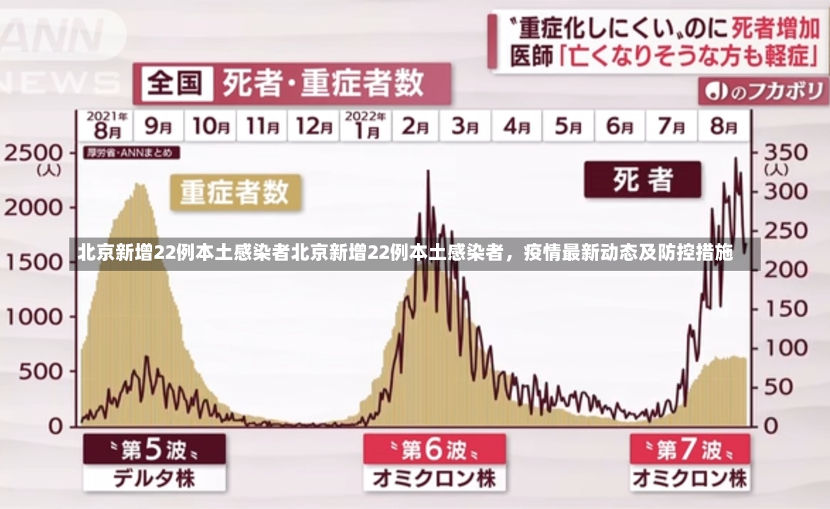 北京新增22例本土感染者北京新增22例本土感染者，疫情最新动态及防控措施-第2张图片-通任唐游戏