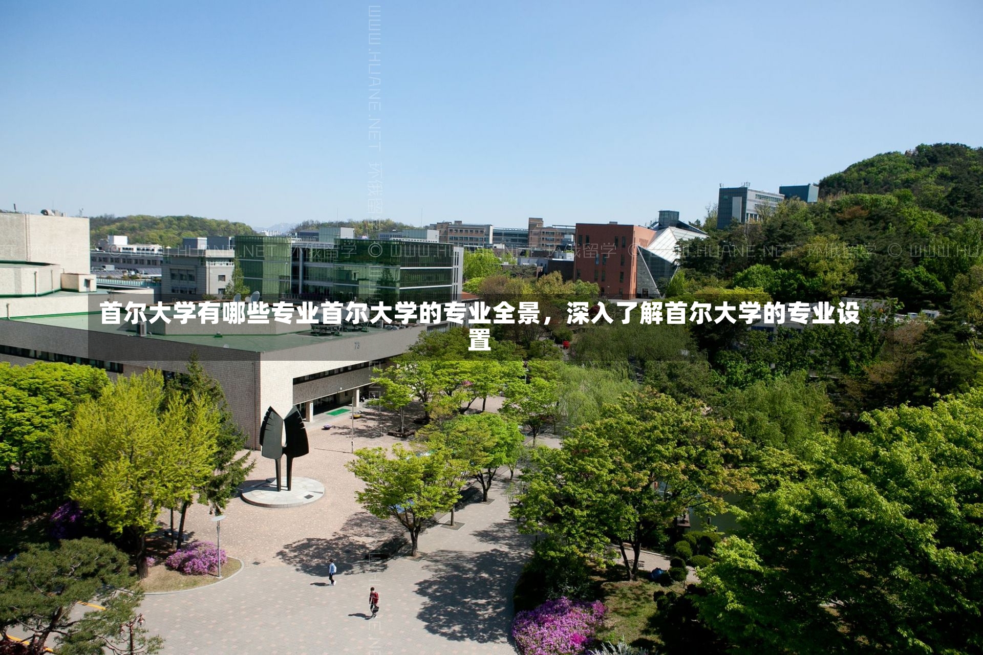 首尔大学有哪些专业首尔大学的专业全景，深入了解首尔大学的专业设置-第1张图片-通任唐游戏