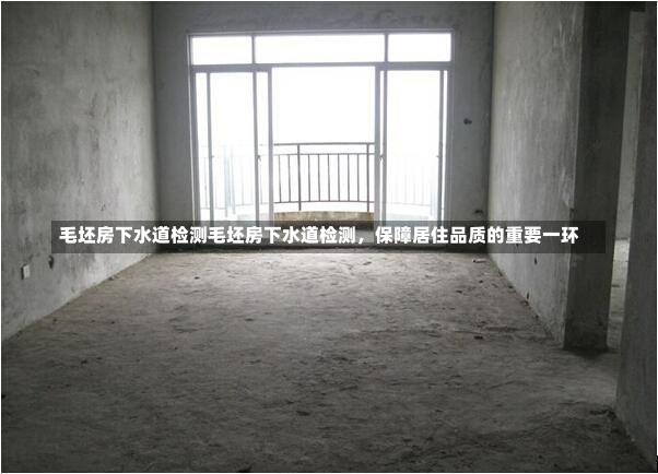 毛坯房下水道检测毛坯房下水道检测，保障居住品质的重要一环-第1张图片-通任唐游戏