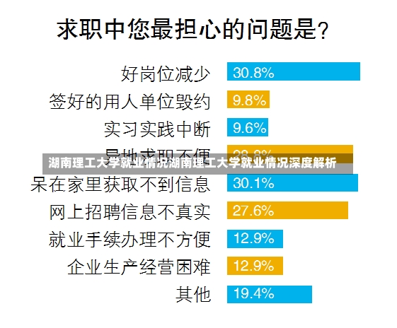 湖南理工大学就业情况湖南理工大学就业情况深度解析-第2张图片-通任唐游戏